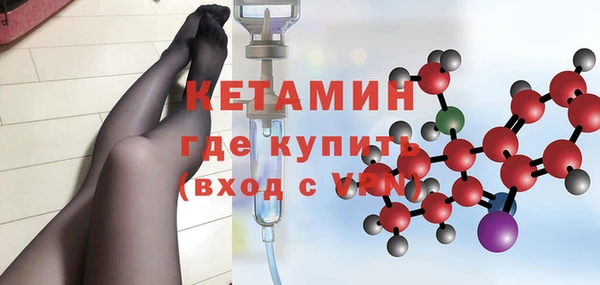 молекула духа Пересвет