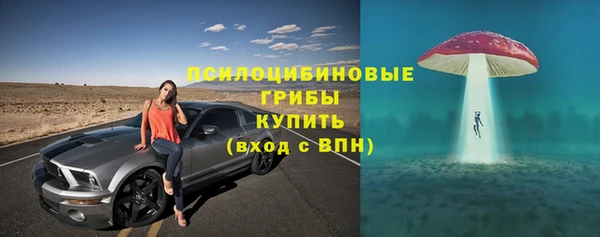 СК Осинники