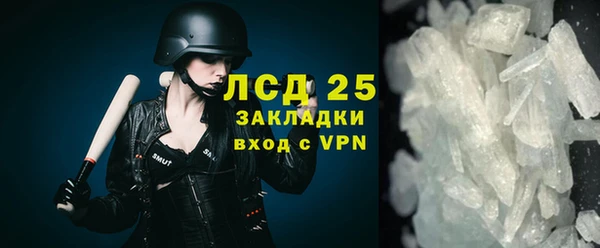 молекула духа Пересвет