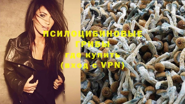 гидра Остров