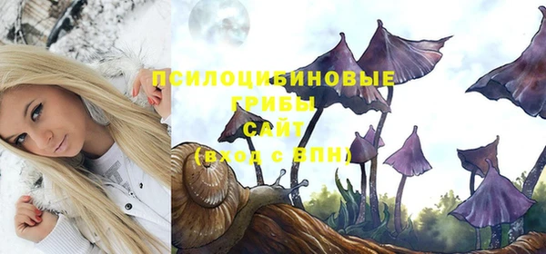 молекула духа Пересвет