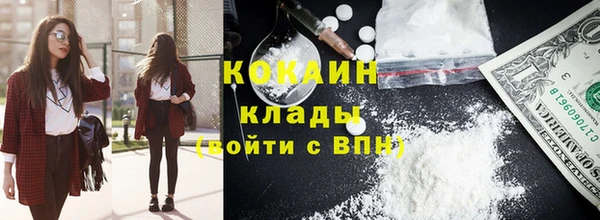 СК Осинники