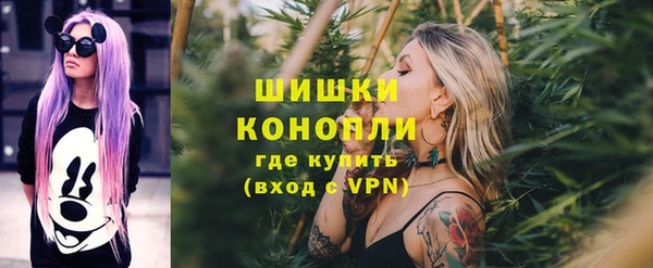 СК Осинники