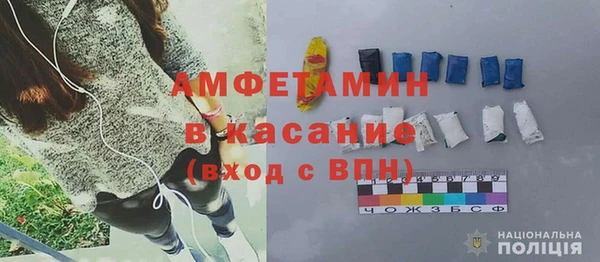 гашик Болотное
