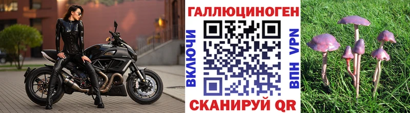 наркотики  Алупка  Псилоцибиновые грибы ЛСД 